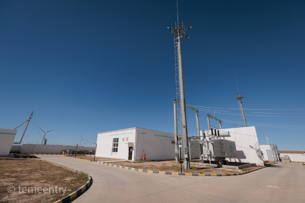 Ер адам есектерді жұлқылайды